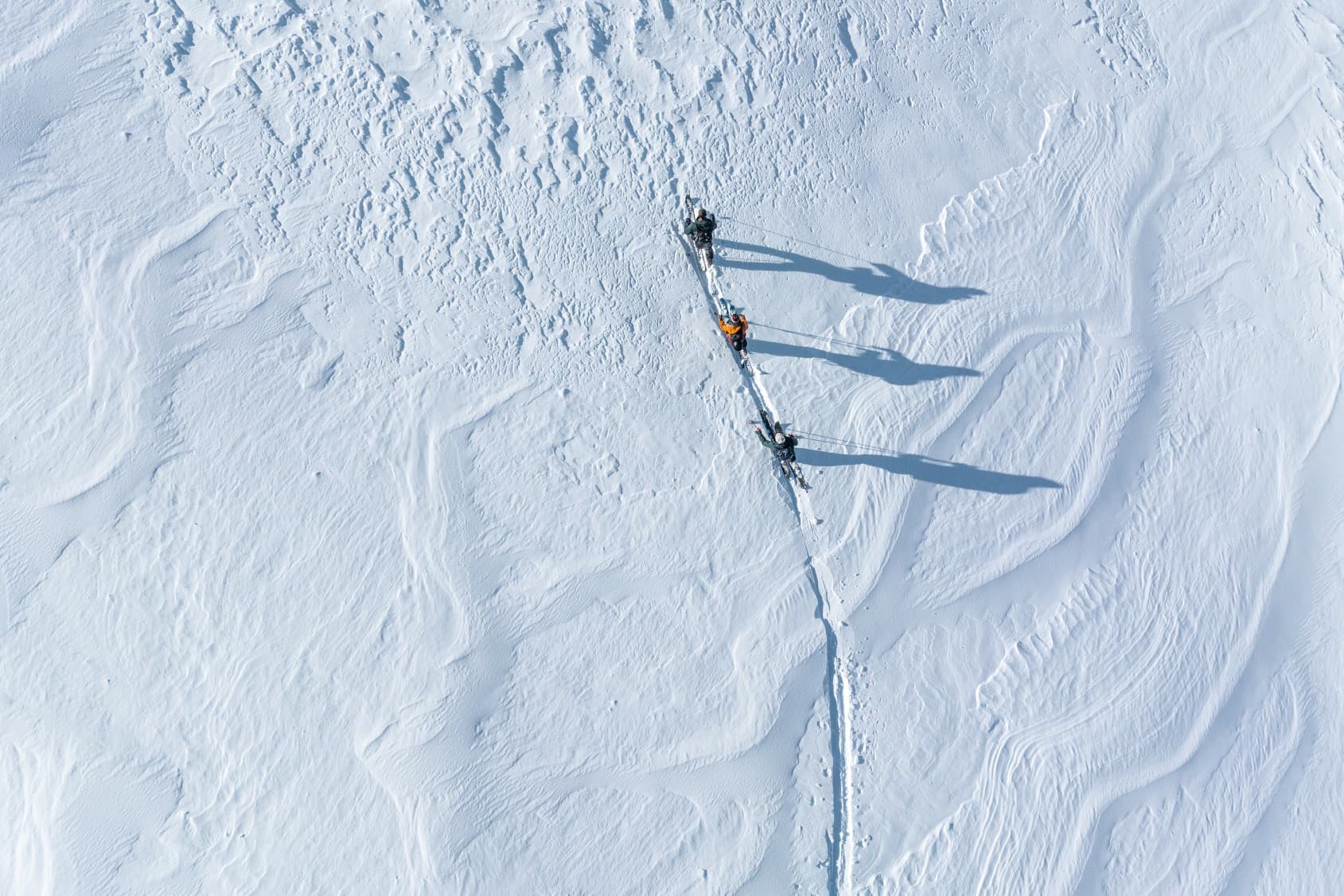 collections-free-tour